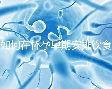 如何在懷孕早期安排飲食？