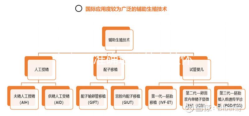 如何更準確地計算女性懷孕時間？