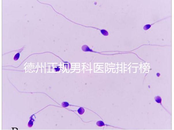 德州正規(guī)男科醫(yī)院排行榜分享!2024哪個最好一看便知