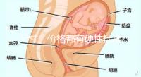 尺寸、價格都有硬性標準，選擇雙胞胎嬰兒床決不可大意！