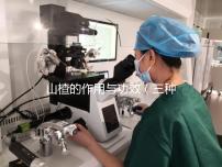 山楂的作用與功效(三種人不宜喝山楂水)