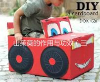 山茱萸的作用與功效(三種人不能吃山茱萸)