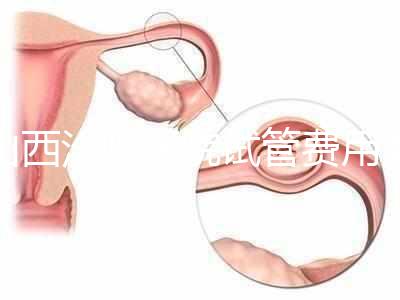 山西汾陽醫院試管費用清單公布，2024年生殖科助孕成功率公布