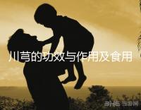 川芎的功效與作用及食用方法(川芎對男性性功能影響)