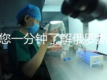 帶您一分鐘了解俄羅斯試管中心的費用明細，快速收集！