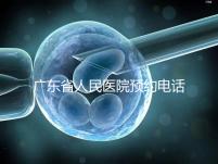 廣東省人民醫(yī)院預約電話(廣東省人民醫(yī)院預約電話是多少)