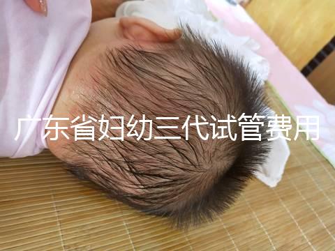 廣東省婦幼三代試管費(fèi)用明細(xì),助孕醫(yī)生揭開價(jià)格貴的真相