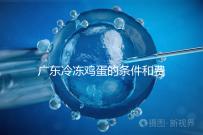 廣東冷凍雞蛋的條件和費用明細!包含廣州前三醫院的詳細信息!