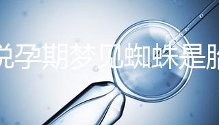 都說孕期夢見蜘蛛是胎夢，咬人、爬身上意思都不同快收藏