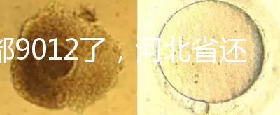 都9012了，河北省還沒三代試管嬰兒醫院，看看姐妹怎么說