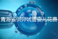 青海省供卵試管嬰兒花費明細表一覽，一次成功助孕費用最低