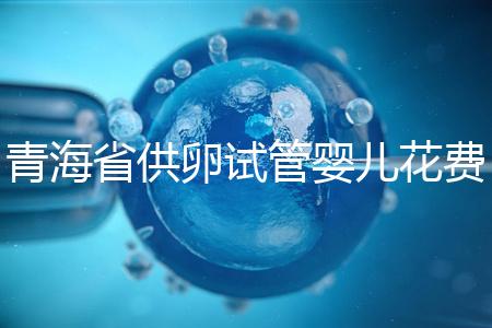 青海省供卵試管嬰兒花費明細(xì)表一覽，一次成功助孕費用最低