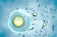 阿根廷生孩子國(guó)籍政策2024,落戶(hù)流程和條件一文說(shuō)清