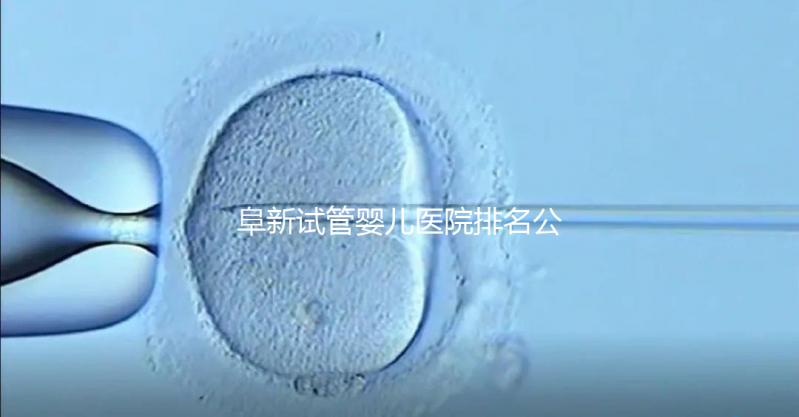 阜新試管嬰兒醫院排名公開,附2024年助孕費明細