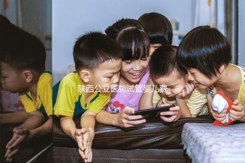 陜西公立醫院試管嬰兒費用明細表，2024助孕一次多少錢看這