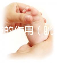 胱氨酸的作用(胱氨酸的作用及功能)