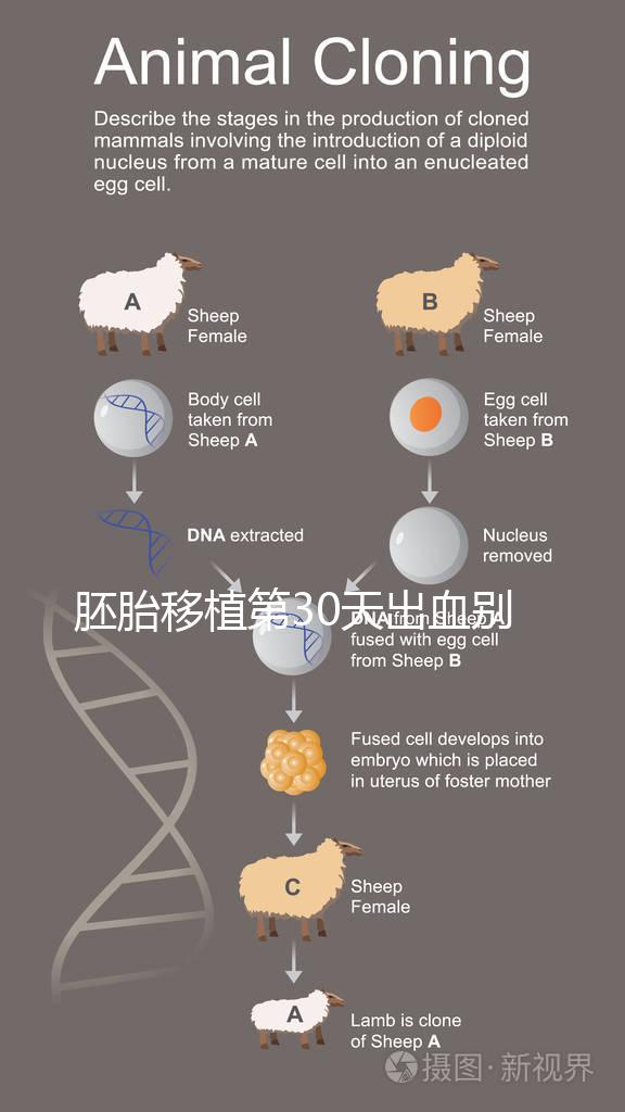 胚胎移植第30天出血?jiǎng)e緊張,4個(gè)方法助你成功保胎