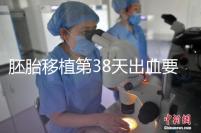 胚胎移植第38天出血要重視,約30%的孕婦會有流產(chǎn)風(fēng)險