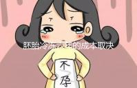 胚胎冷凍六年的成本取決于機(jī)構(gòu),解凍后是否可以移植