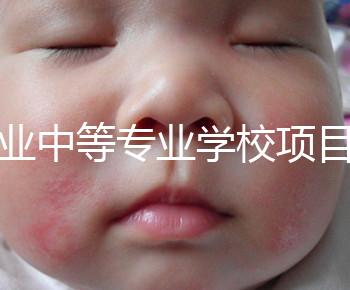 職業(yè)中等專(zhuān)業(yè)學(xué)校項(xiàng)目(中等職業(yè)學(xué)校專(zhuān)業(yè)建設(shè)規(guī)劃實(shí)施方案)