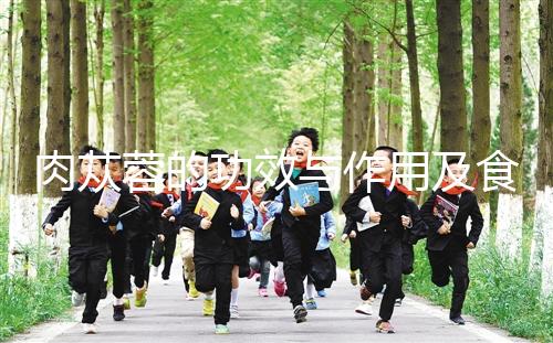 肉蓯蓉的功效與作用及食用方法(肉蓯蓉配什么壯陽(yáng)最猛)