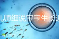 育兒師細(xì)說寶寶生長(zhǎng)遲緩評(píng)價(jià)標(biāo)準(zhǔn)，不合格的要重視了