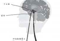 蘇北人民醫(yī)院試管成功率首次公開(kāi)!3大案例分享助孕體驗(yàn)