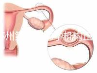 蘇州第三代助孕機構正規可靠嗎?實地考察才為真