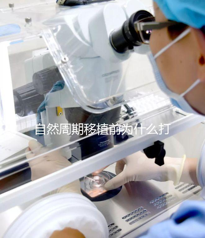 自然周期移植前為什么打絨促?作用不僅是提升妊娠率