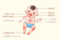 自然周期取卵什么時候??？最佳時間應控制在這個時候