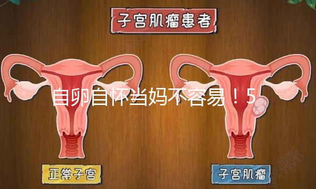 自卵自懷當媽不容易！53歲做試管嬰兒這個案例真勵志