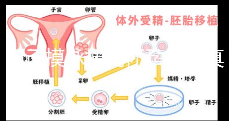 自己摸脈搏測(cè)懷孕方法真不難,想準(zhǔn)確率高關(guān)鍵是找對(duì)手法
