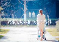 葛根的功效和作用(葛根的功效和作用及禁忌)