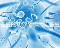 蠶豆的功效與作用(蠶豆的功效與作用及營養(yǎng)價(jià)值)