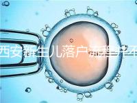 西安新生兒落戶流程并不難,內(nèi)附各區(qū)辦理地址快人一步