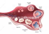 補(bǔ)辦出生證明別找錯(cuò)地方，備齊資料到這些部門辦理不白跑！