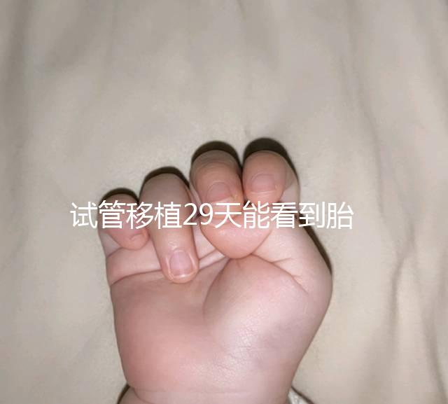 試管移植29天能看到胎心嗎？B超還能看孕囊大小和胎心