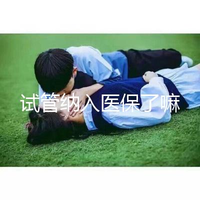 試管納入醫(yī)保了嘛