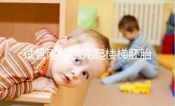 試管剛移植完爬樓梯胚胎會掉出來是謠言！這3大影響了解下