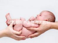 試管期間養龍貓有無影響剖析，是否胎停、流產取決這幾點