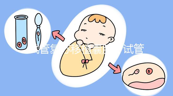 試管復蘇移植囊胚(試管復蘇移植囊胚成功率)