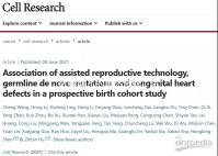 試管嬰兒的具體步驟（試管嬰兒的具體步驟是什么？）