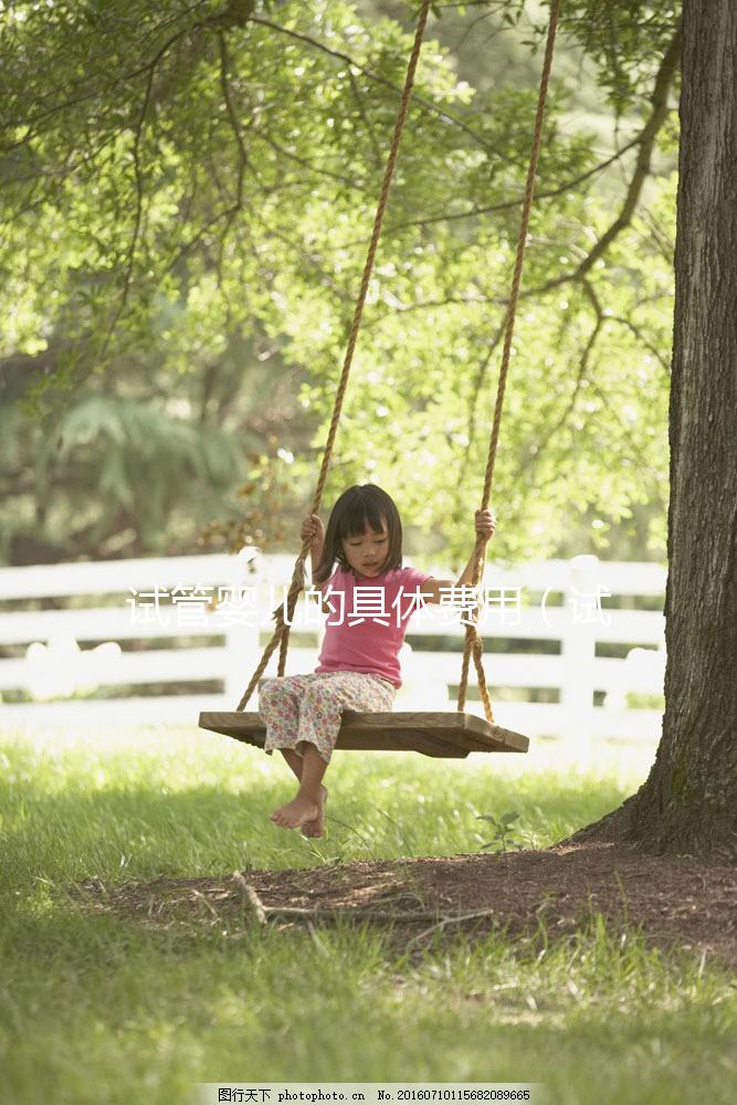 試管嬰兒的具體費用(試管嬰兒的具體費用是多少)