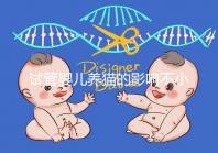 試管嬰兒養貓的影響不小，這三大危害一文說清楚