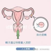 試管嬰兒哪好(試管嬰兒權(quán)威醫(yī)院哪家最好)