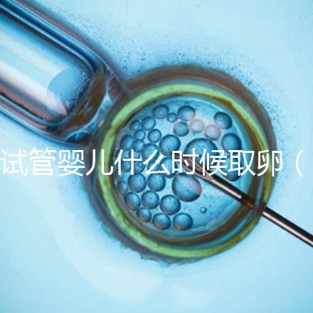 試管嬰兒什么時候取卵（試管嬰兒什么時候取卵和移植）