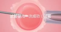 試管嬰兒一次成功(試管嬰兒一次成功的幾率大嗎)