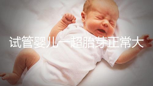 試管嬰兒一超胎芽正常大小不超這個數，2mm不一定會胎停