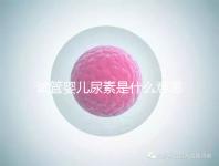 試管嬰兒尿素是什么意思(試管嬰兒尿素是什么意思啊)