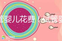 試管嬰兒花費（試管嬰兒花費多少錢？）